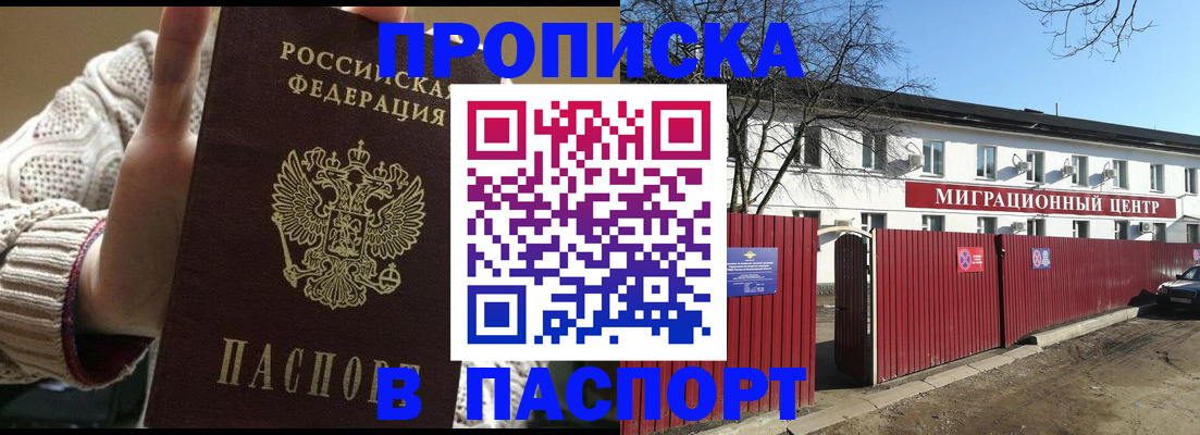 временная регистрация поиск в Светогорске